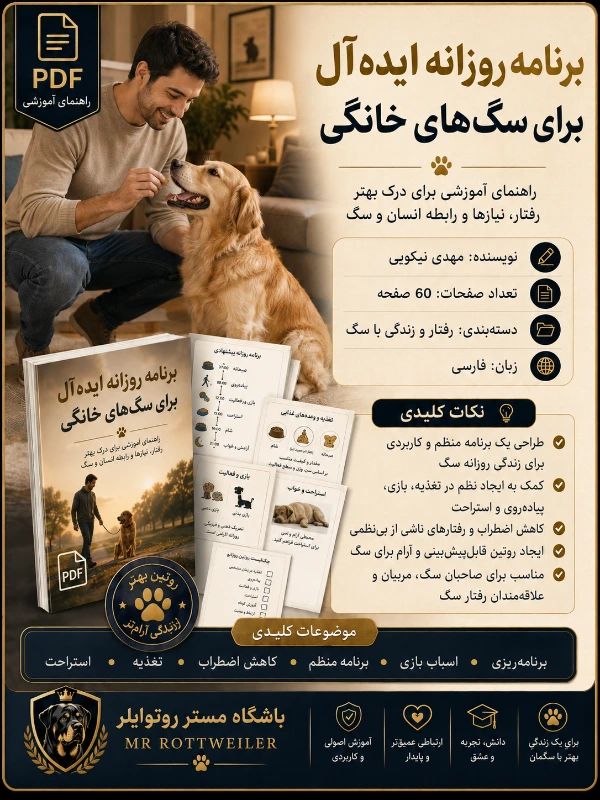 برنامه روزانه ایده‌آل برای سگ‌های خانگی