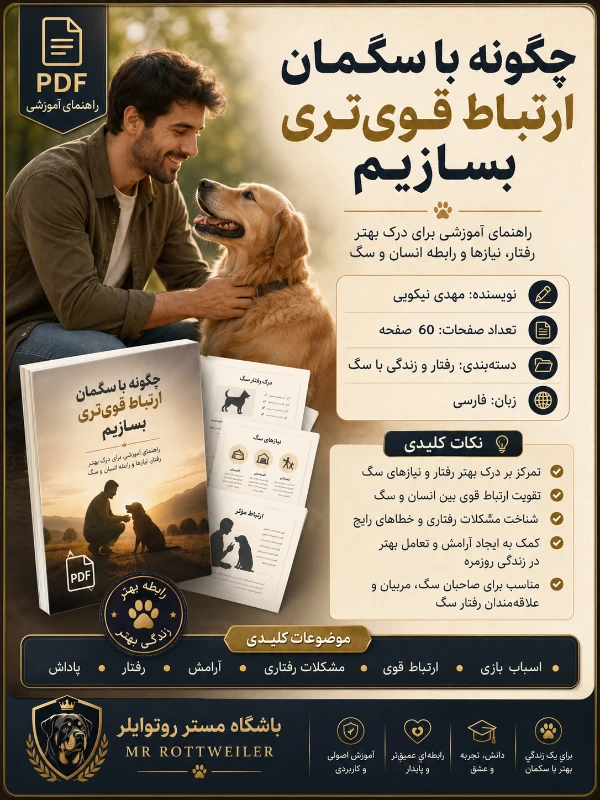 چگونه با سگمان ارتباط قوی‌تری بسازیم