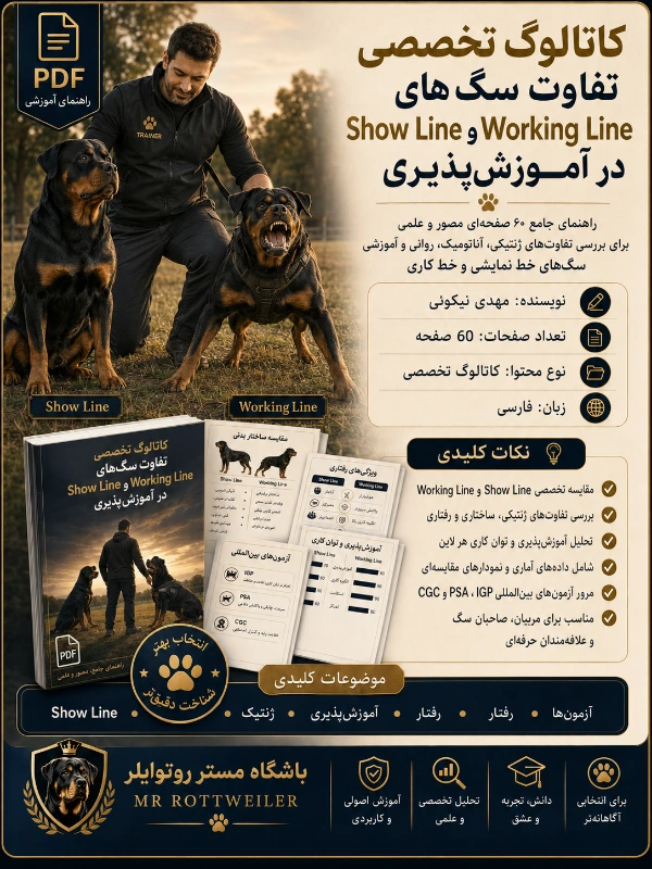 تفاوت سگ‌های Show Line و Working Line در آموزش‌پذیری