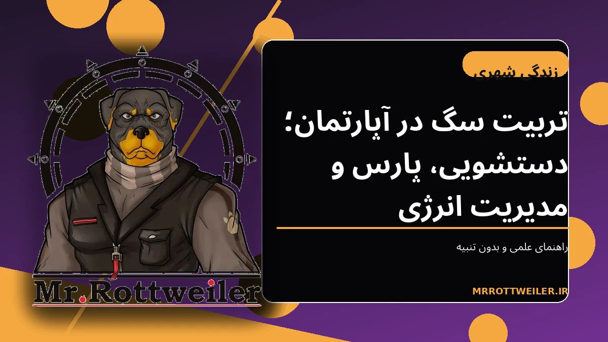سگ آرام در فضای آپارتمان کنار تشک و اسباببازی فکری
