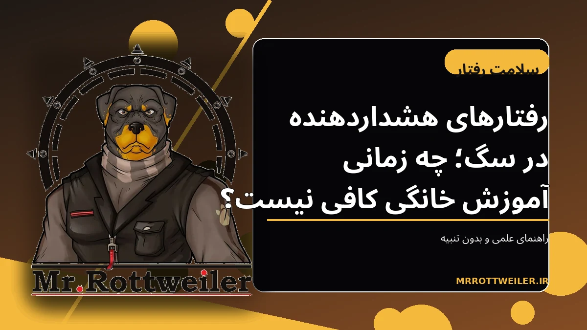 صاحب سگ در حال مشاهده زبان بدن و علائم استرس سگ