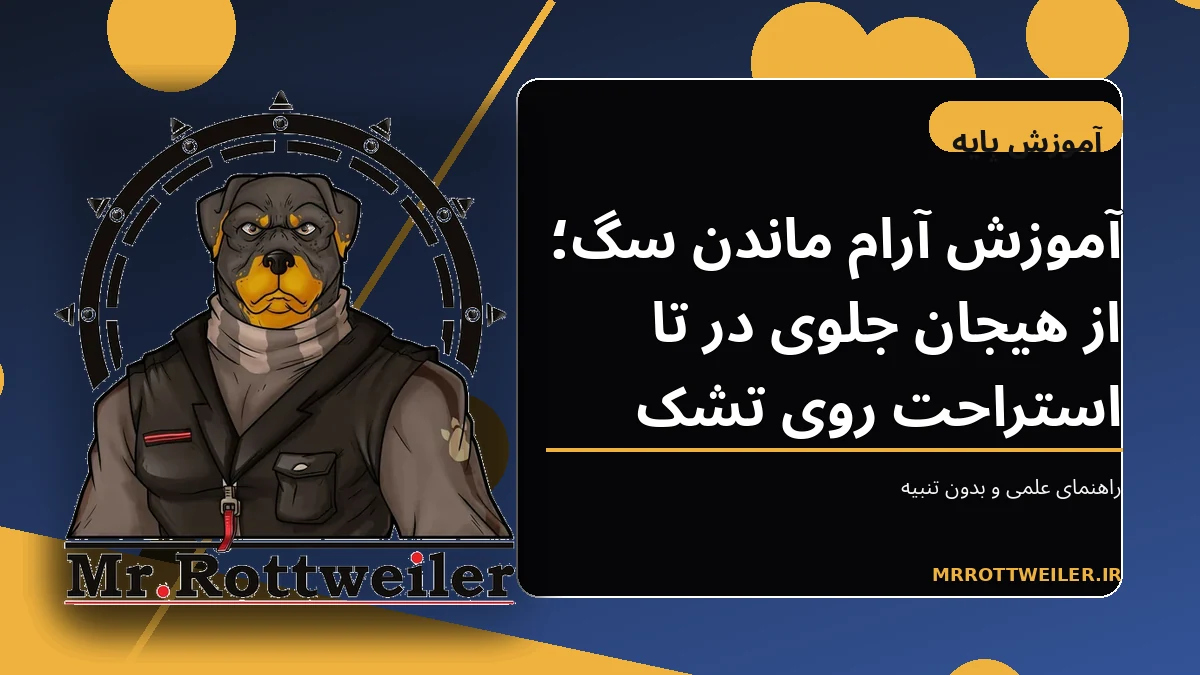 سگ آرام روی تشک در فضای خانه
