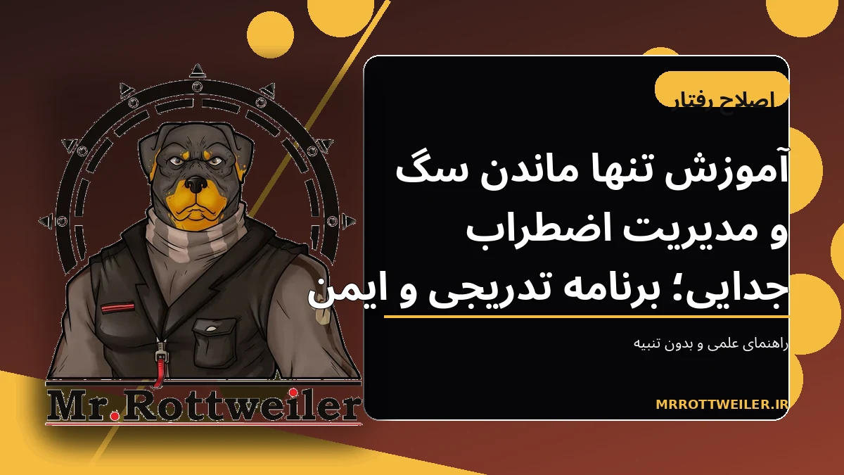 سگ آرام در فضای امن خانه هنگام تمرین تنها ماندن