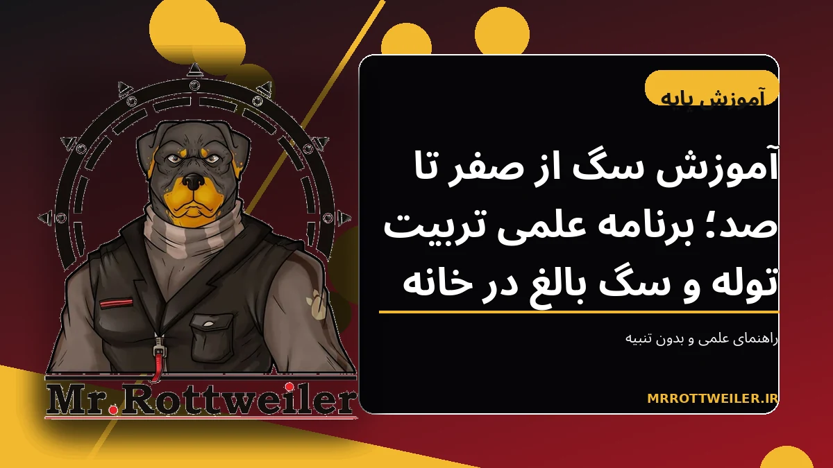 تمرین فرمانپذیری سگ با مربی و استفاده از تشویقی