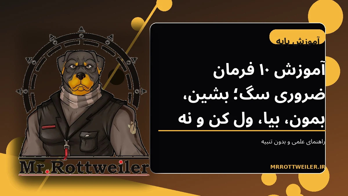 سگ در حال اجرای فرمان نشستن روبهروی مربی