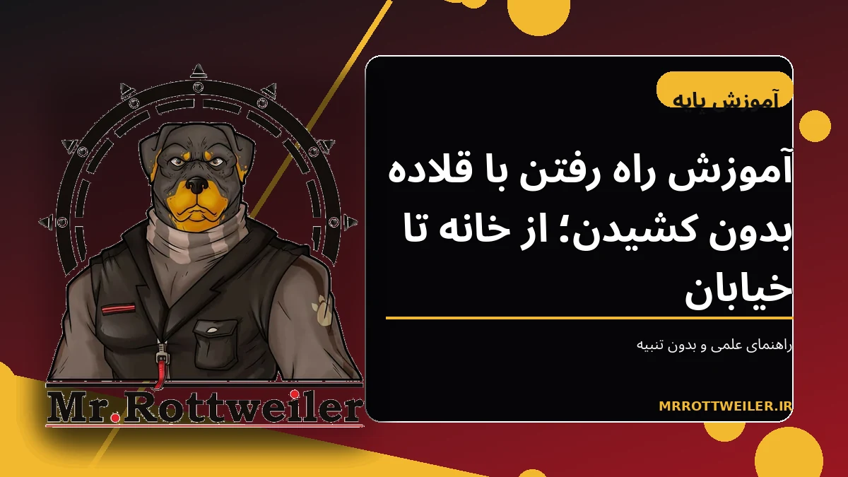 سگ در حال راه رفتن کنار صاحب با بند شل