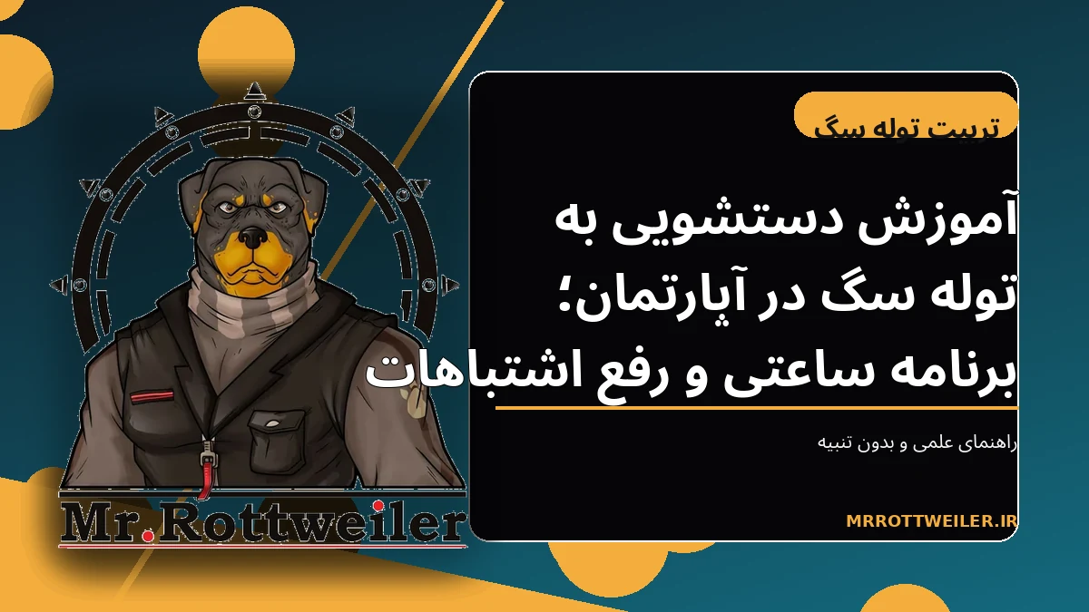 توله سگ در محل تعیینشده برای آموزش دستشویی