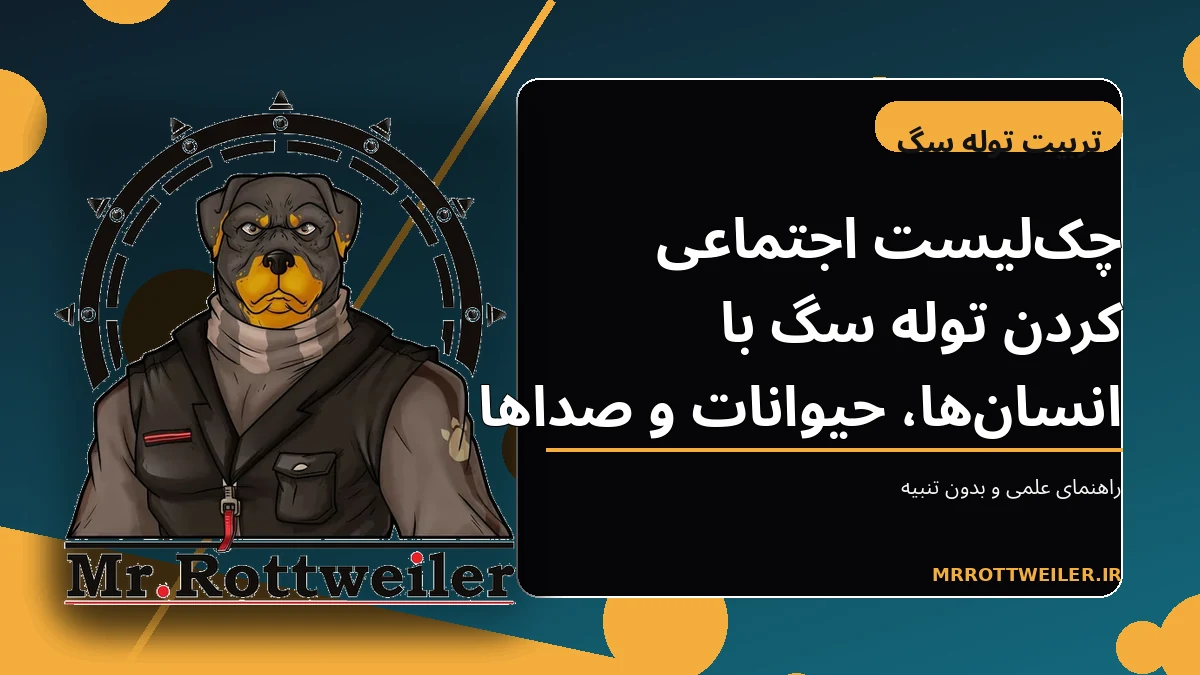توله سگ در حال مشاهده آرام محیط و افراد از فاصله امن