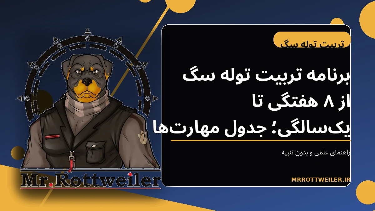 توله سگ در جلسه کوتاه آموزش با تشویقی
