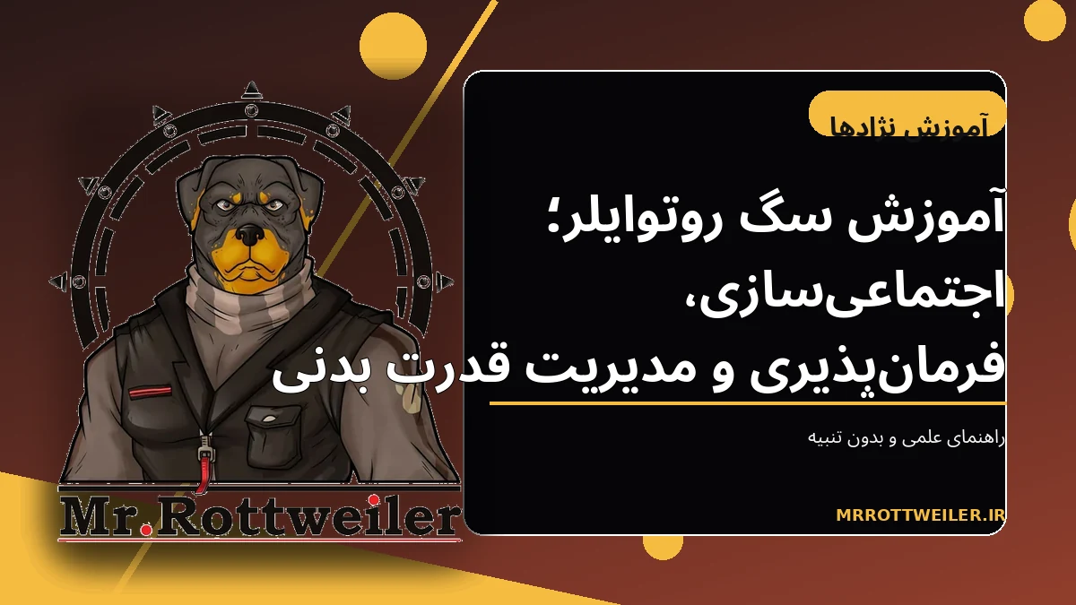 روتوایلر آرام و فرمانپذیر در کنار مربی