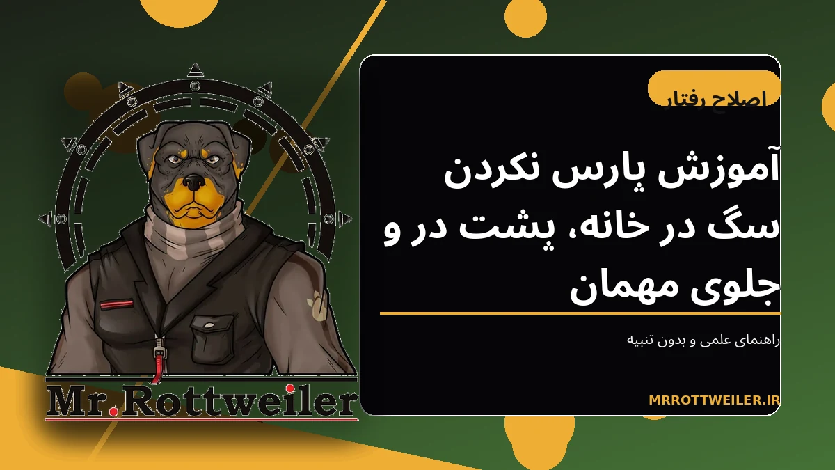 سگ آرام روی تشک هنگام حضور مهمان در خانه