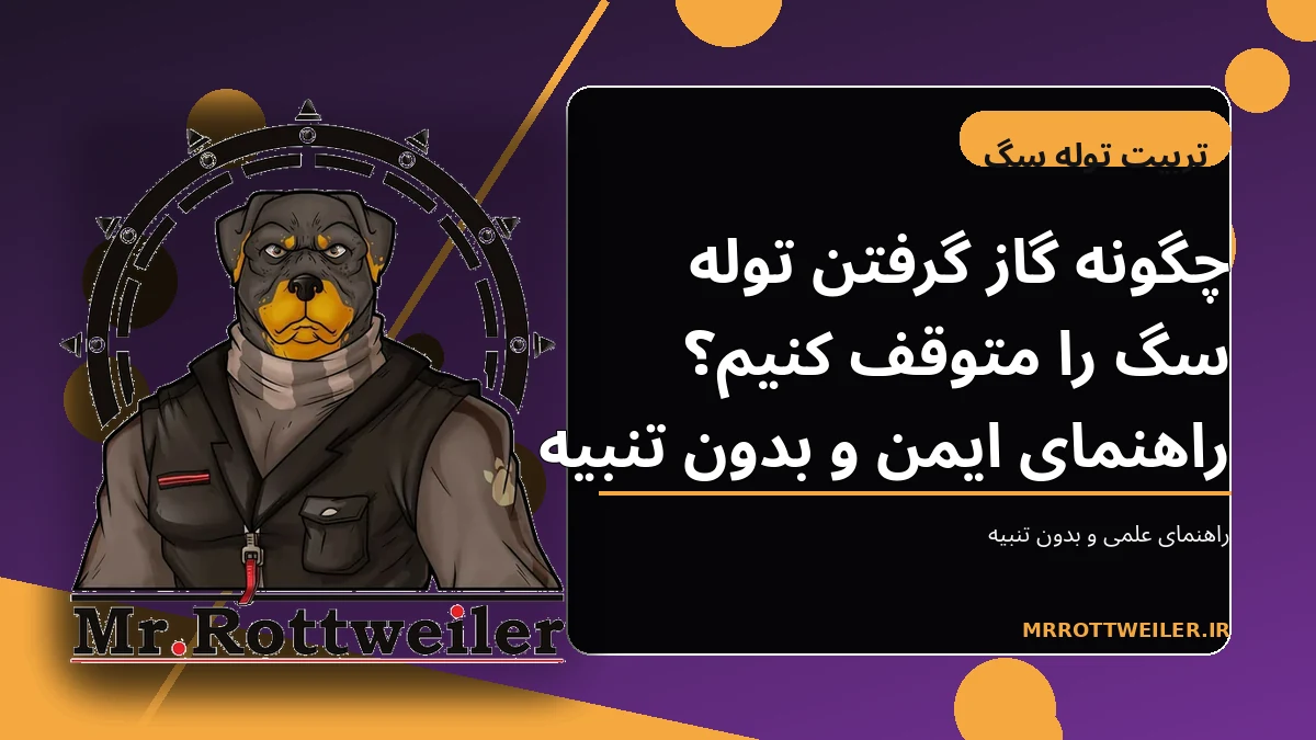 توله سگ در حال بازی با اسباببازی جویدنی به جای دست